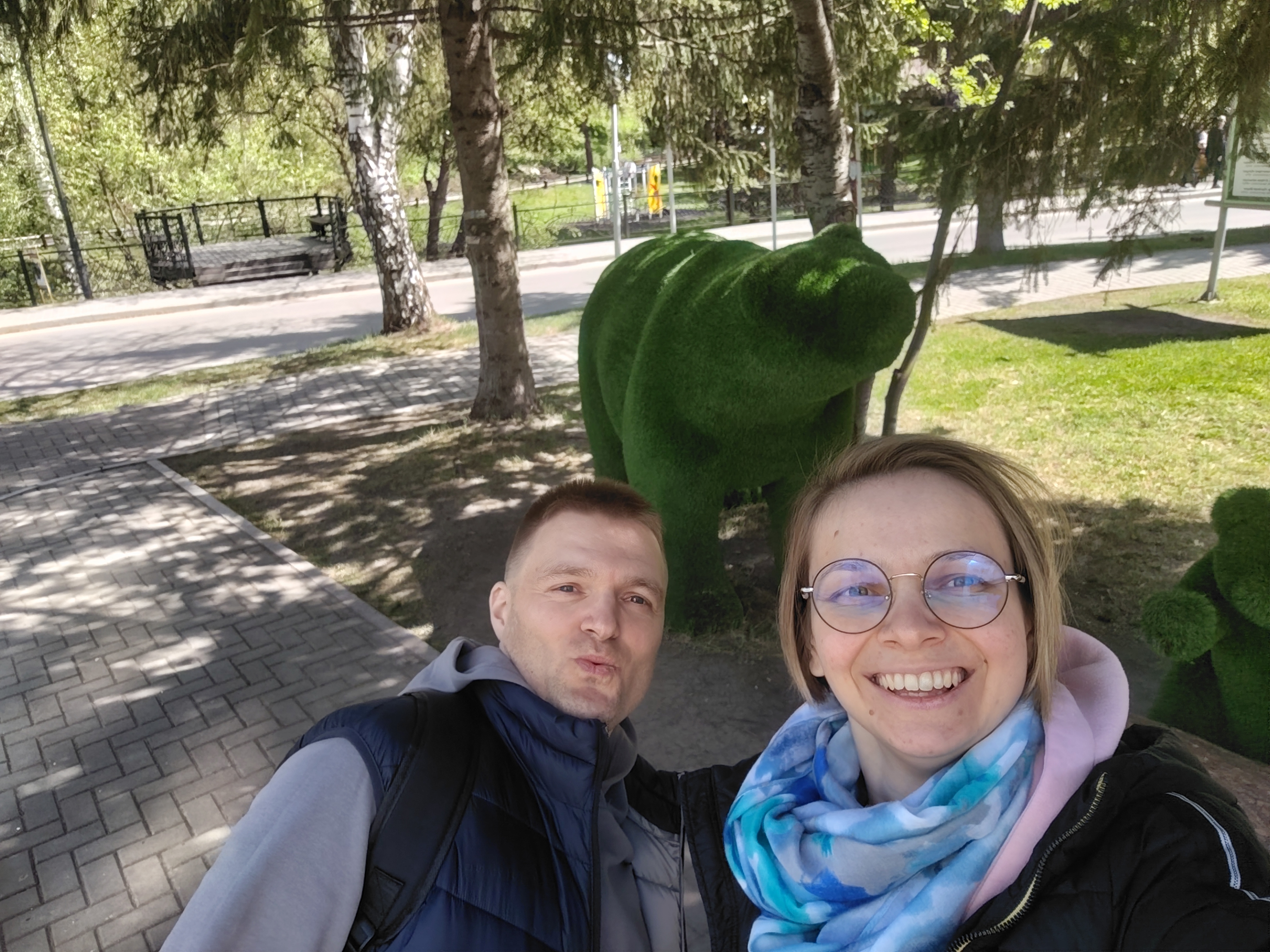Медведи
